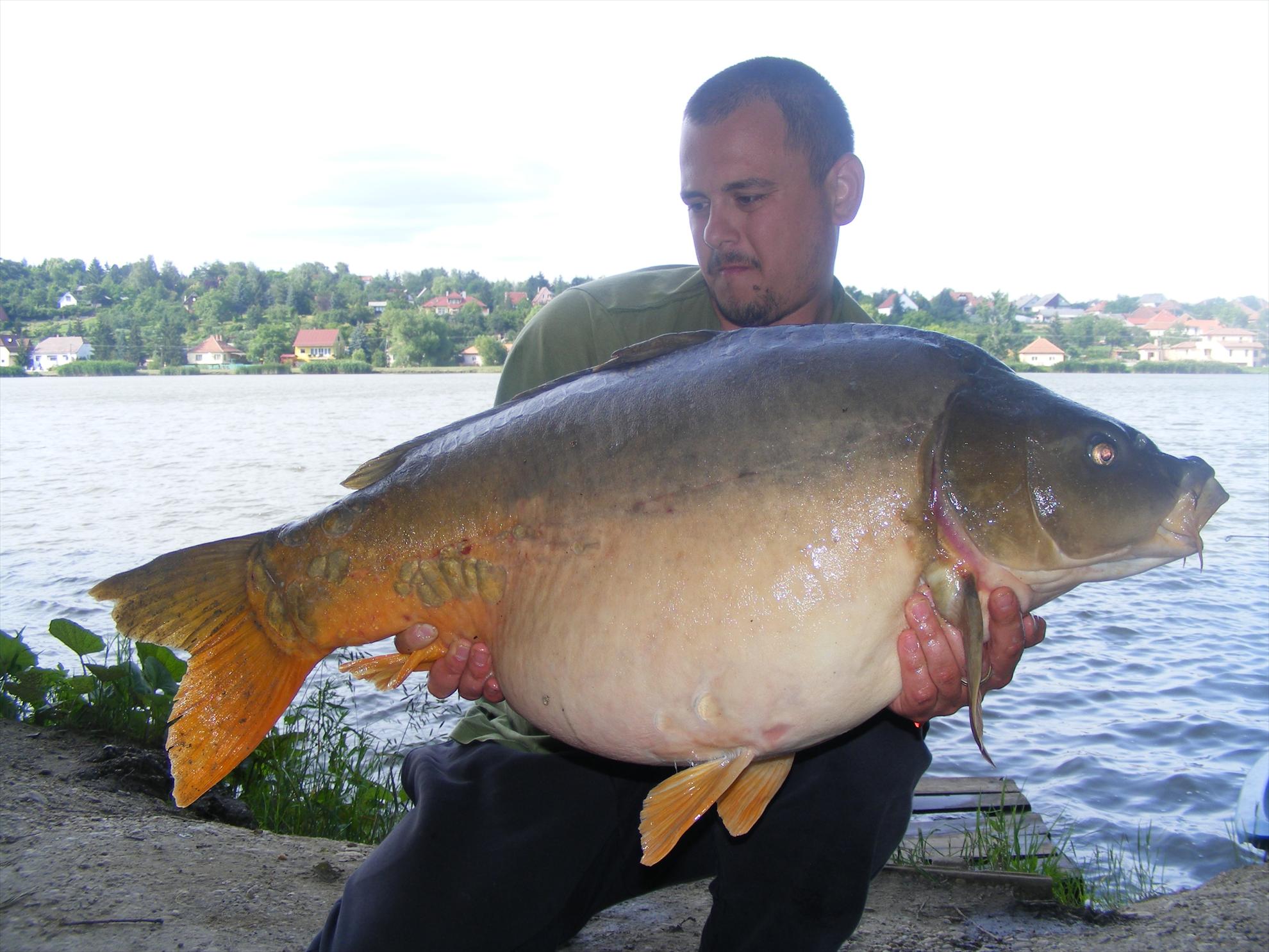 Harsanyi 2013 - dscf6285.JPG